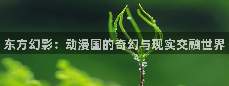 和漫蛙：东方幻影：动漫国的奇幻与现实交融世界