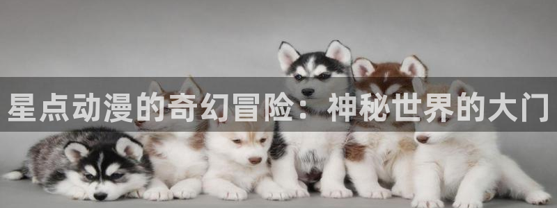 漫蛙蛇