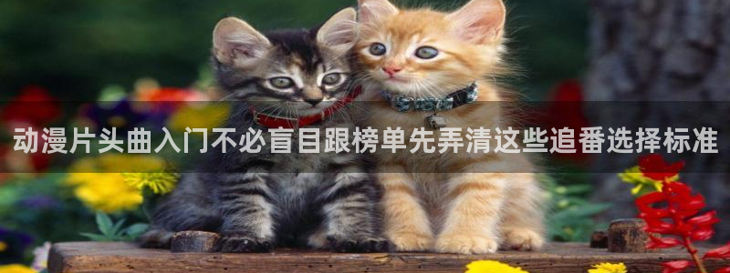 蛙蛙漫：动漫片头曲入门不必盲目跟榜单先弄清这些追番选择标准