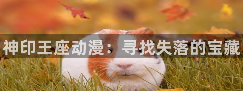 看漫蛙：神印王座动漫：寻找失落的宝藏