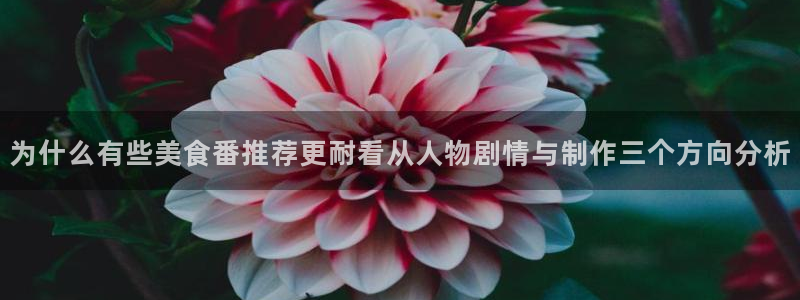 漫蛙可：为什么有些美食番推荐更耐看从人物剧情与制作三个方向分析