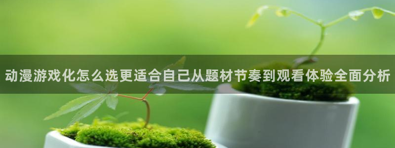 漫蛙蛇：动漫游戏化怎么选更适合自己从题材节奏到观看体验全面分析
