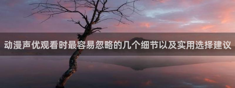 黑漫蛙：动漫声优观看时最容易忽略的几个细节以及实用选择建议