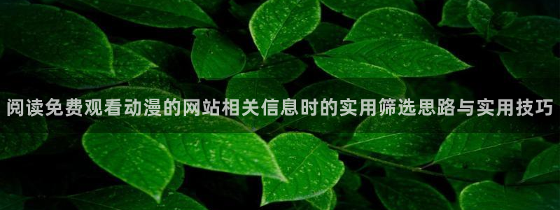 蛙漫城：阅读免费观看动漫的网站相关信息时的实用筛选思路与实用技巧