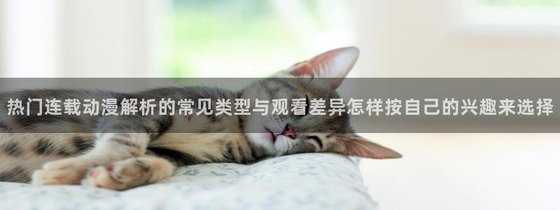 漫蛙有：热门连载动漫解析的常见类型与观看差异怎样按自己的兴趣来选择